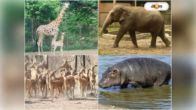 Alipore Zoo : এবার থেকে সপ্তাহের এই দিনে বন্ধ থাকবে আলিপুর চিড়িয়াখানা, বড় ঘোষণা কর্তৃপক্ষের