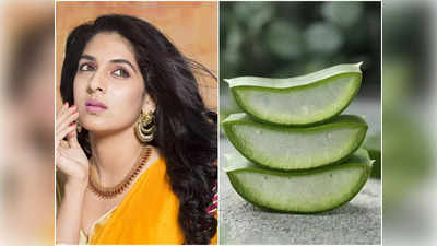 Aloe Vera For Skin: সকাল সকাল মুখে লাগালে এই ১টি মাত্র জিনিস, উধাও হবে ট্যান, মুখে পড়বে না বয়সের ছাপও!