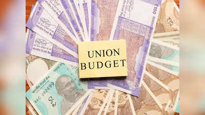 Union Budget 2024: पीएम किसानपासून ते करमाफी... २०१९ बजेटमध्ये या मोठ्या घोषणा, यावेळी अर्थमंत्री तिजोरी उघडणार?