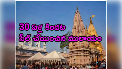 Gyanvapi: మూడు దశాబ్దాల తర్వాత తొలిసారి జ్ఞానవాపీ కాంప్లెక్స్‌లో హిందువులు పూజలు 