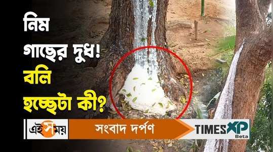 jhargram viral news milk coming out of neem tree creates curiosity among villagers watch video