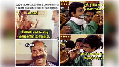 പോത്തിനെ കണ്ട് പറമ്പിൽ കെട്ടിയിട്ട ആന വിരണ്ടോടി; ട്രോളുകൾ