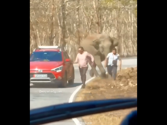 हत्ती का भडकला?