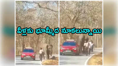 Video: ఏనుగుతో సెల్ఫీకి ప్రయత్నం.. త్రుటిలో ప్రమాదం నుంచి బయటపడ్డ ఏపీ పర్యాటకులు