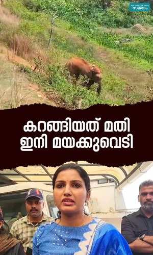 wayanad district collector dr renu raj ias about mananthavady wild elephant issue