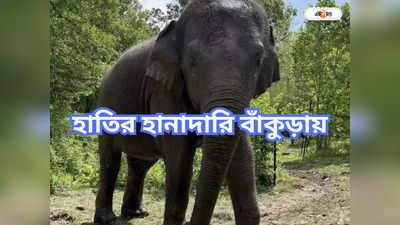 Elephant Attack: শুঁড়ে তুলে মাটিতে ঠেলে নিয়ে গেল হাতি, তবুও রক্ষা!