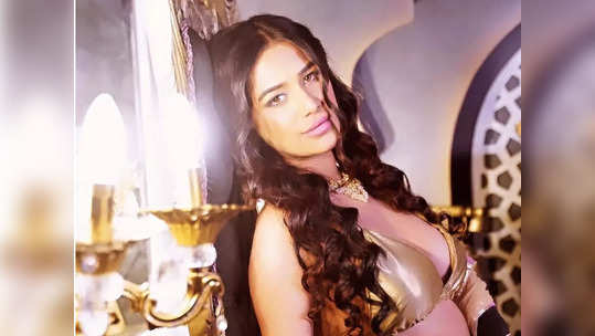 Poonam Pandey : இறந்ததாக சொல்லப்பட்ட நடிகை பூனம் பாண்டே உயிருடன்தான் இருக்கிறார் ? இறந்ததாக நாடகமாடினாரா பூனம் பாண்டே ?