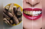 White Teeth Remedy: टूथपेस्ट से ज्यादा दांतों को चमका देती हैं 4 पेड़ की डंठल, पीले-काले दांतों से मिलेगी आजादी