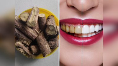 White Teeth Remedy: टूथपेस्ट से ज्यादा दांतों को चमका देती हैं 4 पेड़ की डंठल, पीले-काले दांतों से मिलेगी आजादी