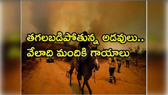 చిలీలో కార్చిచ్చు.. కాలిబూడిదవుతోన్న నివాసాలు.. 46 మంది మృతి 