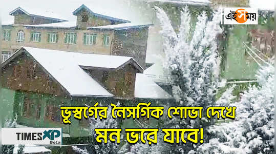 kashmir gets fresh snowfall temperature drops below freezing watch bengali video
