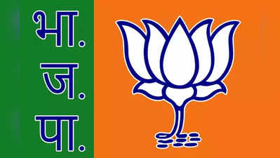 Lok Sabha Chunav: छत्तीसगढ़ में लोकसभा चुनाव की तैयारियां हुईं तेज, बीजेपी कैंडिडेट के नाम के लिए बैठक शुरू