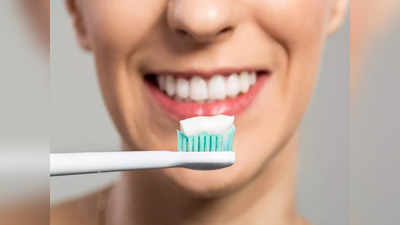 Oral Hygiene Tips: টুথব্রাশের সাইজের উপরও নির্ভর করে দাঁতের পরিচ্ছন্নতা, নিয়ম না মানলেই ব্যথায় শিকেয় উঠবে কাজ