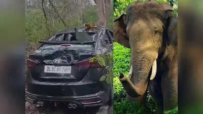 दिल्‍ली से आए टूरिस्‍टों की कार पर जंगली हाथियों के झुंड का हमला, बड़ी मुश्किल से बच पाई जान