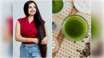 Green Tea For Hair: লম্বা আর ঘন-কালো চুল পাবেন গ্রিন টি-এর গুণে, যদি ব্যবহার করেন এই সহজ নিয়মে