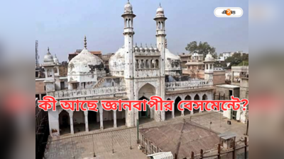 Gyanvapi Mosque News : জ্ঞানবাপীর বেসমেন্টেই লুকিয়ে হিন্দু মন্দিরের রহস্য! কী কী উদ্ধার করেছে ASI?