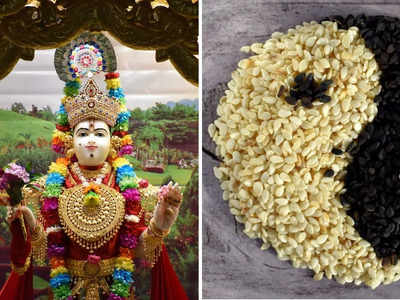 Shattila Ekadashi 2024: ষটতিলা একাদশীতে এই ব্রতকথা পাঠ করলে মিলবে পুণ্য ফল, জানুন এখানে