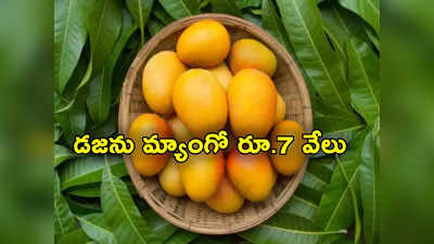 Mancurad Mangoes: సీజన్‌కు ముందే మార్కెట్‌లోకి వచ్చిన మామిడి పండ్లు.. డజన్ రూ.7000