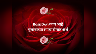 Rose Day 2024: प्रेमाच्या दिवशी निवडा खास गुलाबाचा रंग, कोणत्या रंगाचा काय अर्थ कसे उमलेल तुमचं नातं