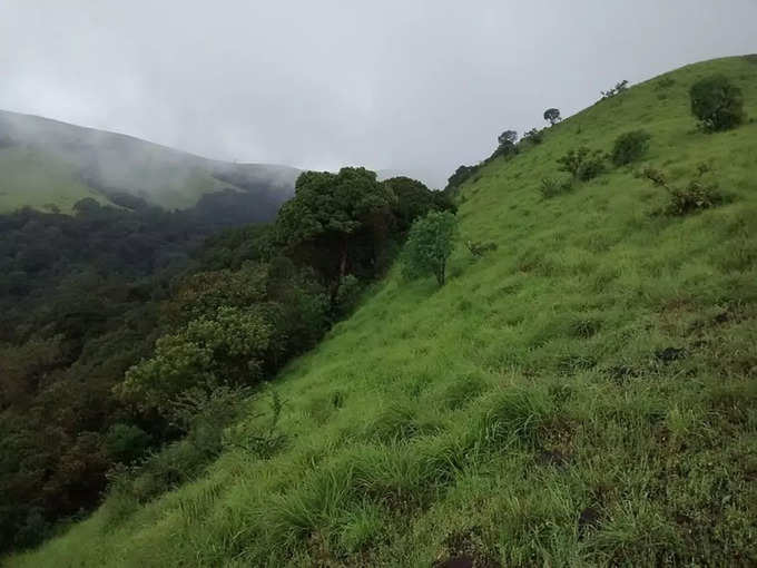 ಕೊಡಚಾದ್ರಿ