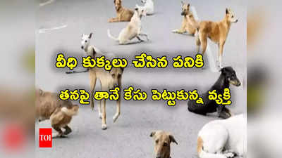 Stray Dogs: వీధి కుక్కల కారణంగా భార్య మృతి.. తనపై తానే కేసు పెట్టుకున్న భర్త.. ఎందుకో తెలుసా? 