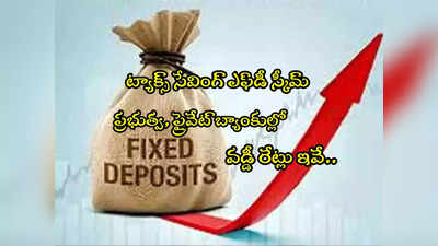 Tax Saving FD: ఎఫ్‌డీ ఇలా చేస్తే రూ.1.5 లక్షలు ఆదా.. అధిక వడ్డీ ఇచ్చే బ్యాంకుల లిస్ట్ ఇదే!