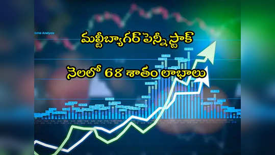 Penny Stock: రూపాయి షేరుతో కాసుల వర్షం.. 1 షేరుకు 20 షేర్లు ఫ్రీ.. నెలలో 68 శాతం లాభం! 