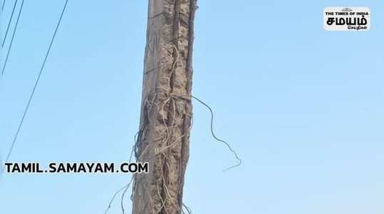 people fear due to damaged power poles in kanchipuram