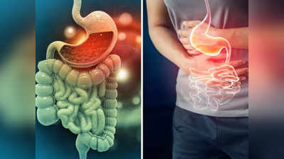 Gut Health: एसिडिटी, पेट दर्द, और पाचन से रहते हैं परेशान? आयुर्वेदिक डॉक्टर का उपाय जड़ से खत्म कर सकता है रोग