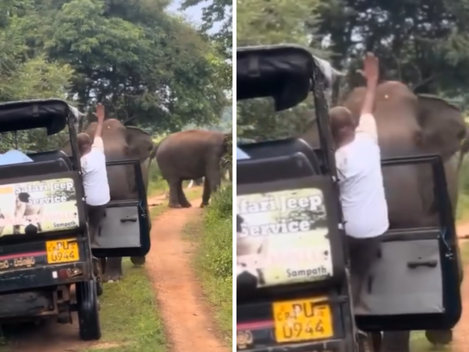 जब हाथी ने कर दिया हमला