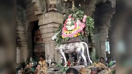 தை பிரதோஷம்:  சங்கர ராமேஸ்வரர் கோவிலில் சிறப்பு பூஜை!