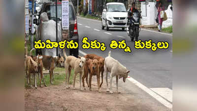 Stray Dogs: మహిళపై ఒకేసారి 20 వీధి కుక్కల దాడి.. చంపి అవయవాలు పీక్కుతిన్న శునకాలు