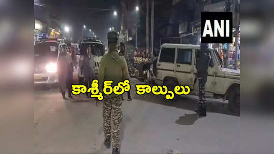 Jammu Kashmir: కాశ్మీర్‌లో మళ్లీ రెచ్చిపోయిన ఉగ్రవాదులు.. వలస కార్మికుడి కాల్చివేత, మరొకరికి గాయాలు 