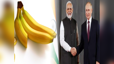 Indo Russia Trade: সাইজে বড়-স্বাদে ভালো, ভারতীয় কলার আমদানি বাড়াল রাশিয়া