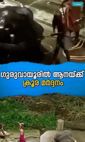 elephants brought to shivali in guruvayur temple are brutally beaten