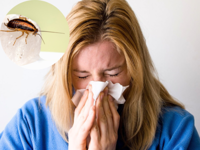 छींक-छींक कर निकला जा रहा दम, धूल-मिट्टी से नहीं घर में कॉकरोच और कीड़ों से भी हो सकती है सांस की Allergy
