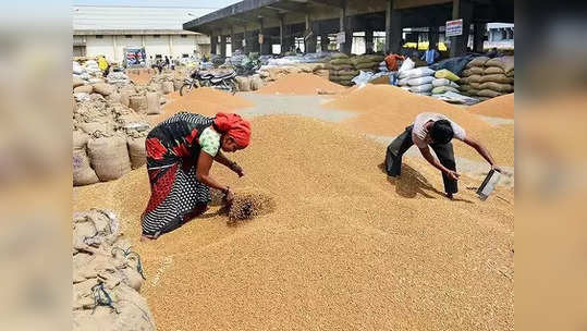 கோதுமை இருப்பு வரம்பு குறைப்பு.. விற்பனையாளர்களுக்கு புதிய கட்டுப்பாடு!