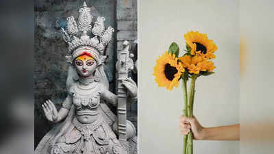 Saraswati Puja 2024: সরস্বতী পুজোয় হলুদের এই টোটকা দারুণ উপকারী, সরস্বতীর সঙ্গে পাবেন লক্ষ্মীরও আশীর্বাদ