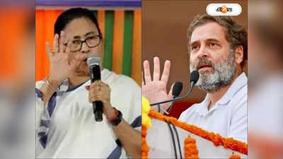 Lok Sabha Election 2024: মমতা না রাহুল, ইন্ডিয়া জোটের যোগ্য নেতা কে? জনমত সমীক্ষায় চমকপ্রদ ইঙ্গিত
