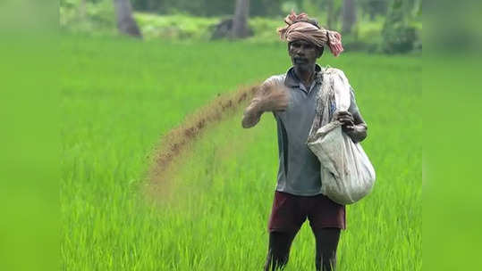 விவசாயிகளுக்கு அதிக வருமானம்.. மத்திய அரசு நடவடிக்கை!