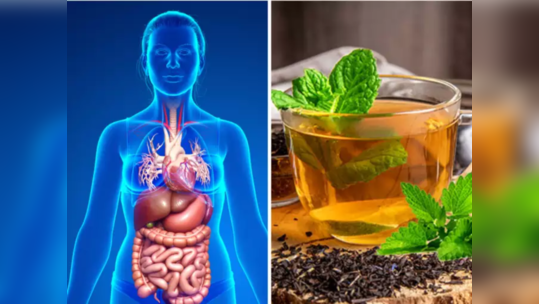 रिकाम्या पोटी प्या हा हिरवा चहा, बद्धकोष्ठता-मूळव्याध होतो नष्ट, आतड्यातील विषारी घटक कायमचे गुल व होईल वेटलॉस 
