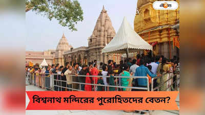 Kashi Vishwanath Temple: কাশীর বিশ্বনাথ মন্দির পুরোহিত নিয়োগ, বেতন হার মানাবে কর্পোরেট সেক্টরের কর্মীদের