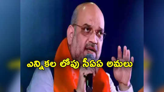 Amit Shah: లోక్‌సభ ఎన్నికలకు ముందే సీఏఏ అమలు చేస్తాం.. అమిత్ షా సంచలన ప్రకటన 