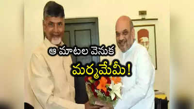 టీడీపీ, బీజేపీ పొత్తుపై అమిత్ షా మాటల వెనుక మర్మమేమిటి? 