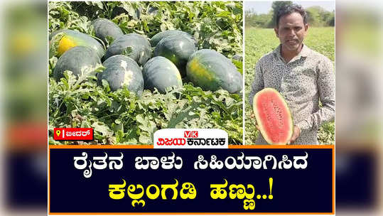 despite drought bidar farmer makes profit by growing watermelon