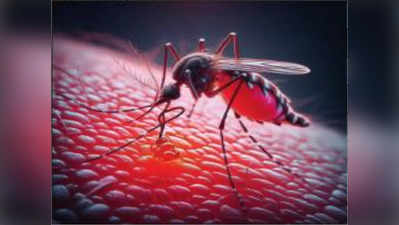 दिलासा देणारी बातमी! राज्यात मलेरिया, डेंग्यू, चिकनगुनियाचे रुग्ण घटले; काय सांगते आकडेवारी?