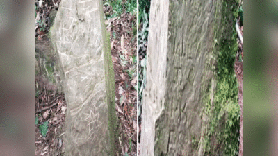 अरुणाचल प्रदेश में ट्रेकर्स को मिली गुप्त गुफा, द्वितीय विश्वयुद्ध में ट्रांजिट कैंप की तरह यूज करते थे सैनिक