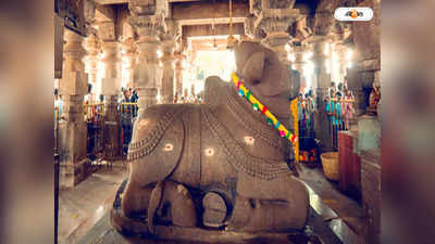 Srisailam Temple : ভগবানের প্রসাদে হাড়ের টুকরো! শক্তিপীঠের জাগ্রত মন্দিরে হুলস্থুল কাণ্ড