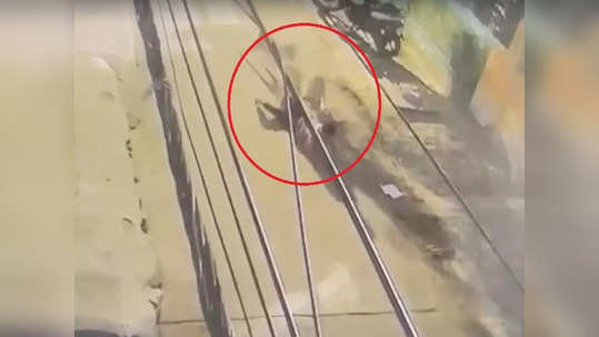 कानपुर: आवारा कुत्तों के झुंड ने बच्चे पर किया हमला, सिर से पैर तक नोंचकर किया लहुलुहान, CCTV आया सामने