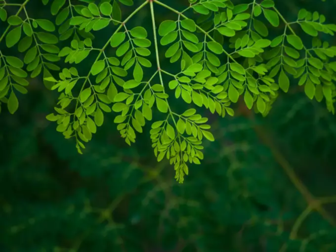 गरोदर महिला आणि लहान मुलांसाठी